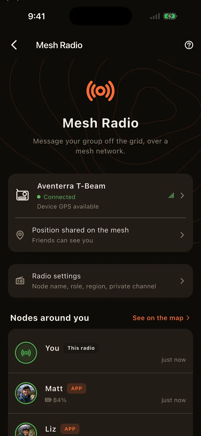Mesh radio screen showing a paired T-Beam and the peers it can reach